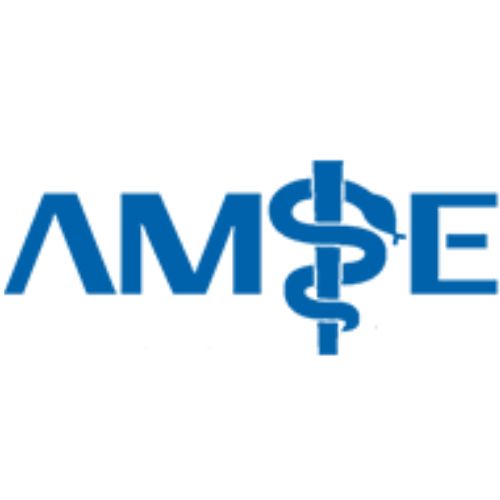 AMSE logo