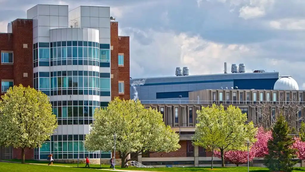 Brandeis University