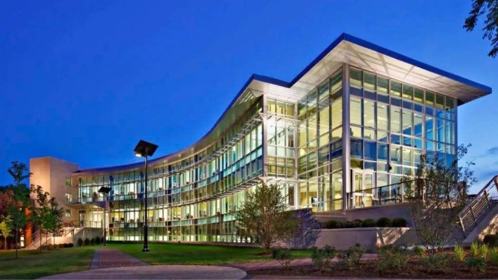 Lewis University