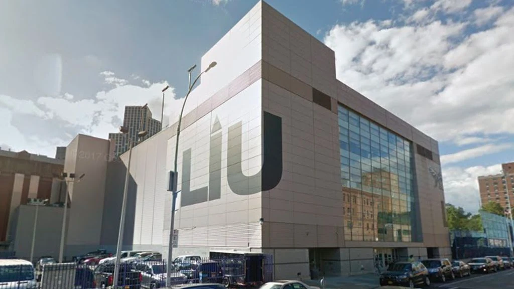 Long Island University